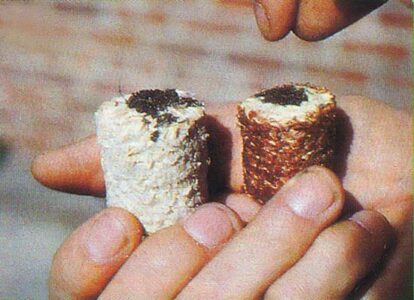 Corn Cob Uses: A Cobby Cornucopia Image